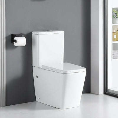 Toilette WC à poser BRAGADO blanc, en céramique - Le Monde du Bain